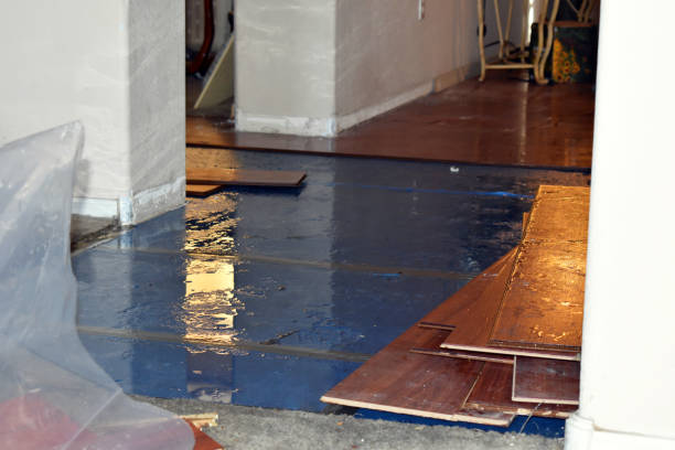Professional Water Damage Restoration technician working in Le Mars, IA